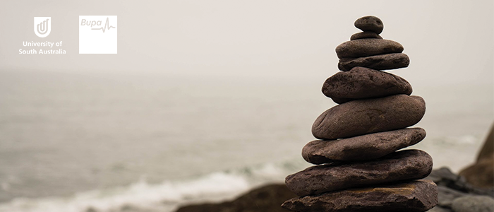 balanced stacked rocks on oceanside. University of South Australia logo and Bupa logo