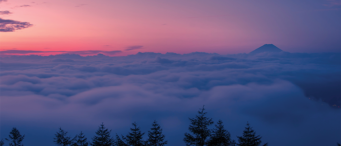 Photo of Mt Fuji in the distance amogst a layer of cloud cover with trees in the foreground