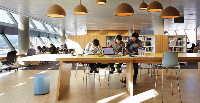 Students studying in the Jeffrey Smart Library