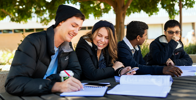 Image of four students studying outdoors