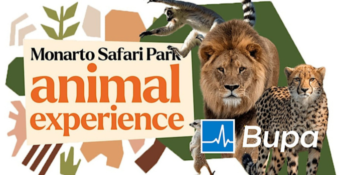 Monarto animal experience image with the Bupa logo