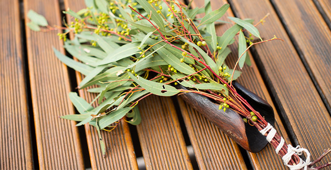 Close up image of tied eucalyptus branch and leaves. 